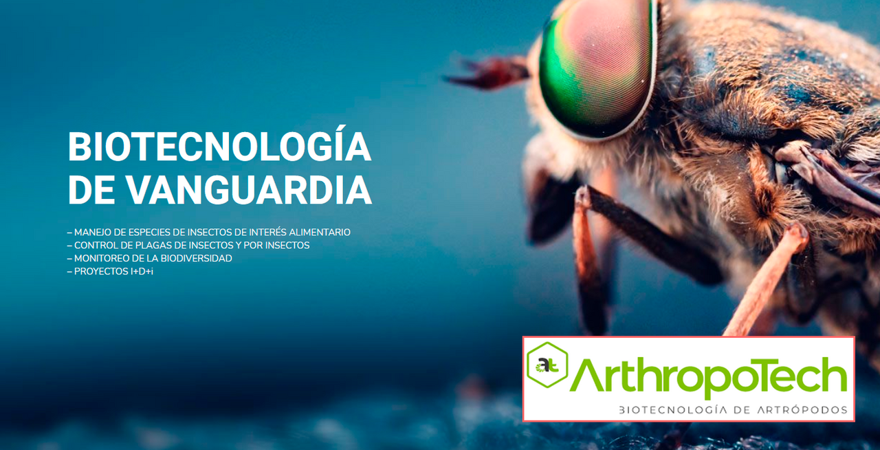12-arthropotech