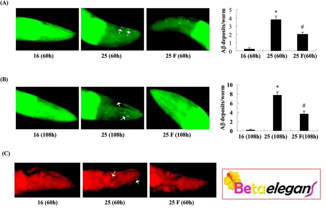 15-betaelegans