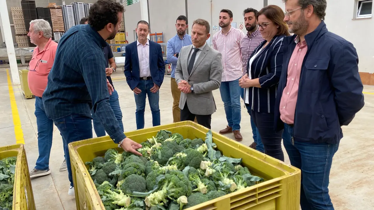 La pachequera Gladiator inventa el 'guacamole de br&oacute;coli'