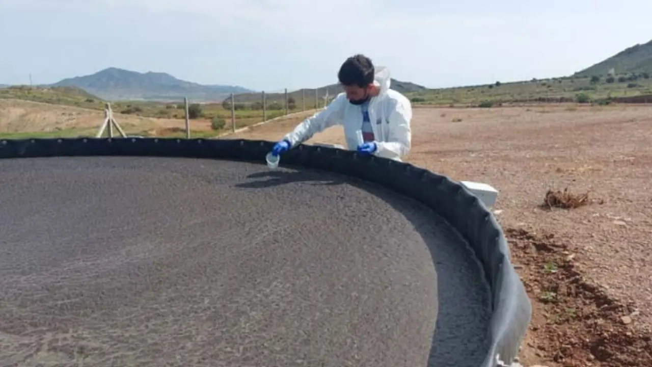 Un estudio del CSIC y Agrosolmen demuestra la efectividad de la tecnolog&iacute;a EBD para reducir la contaminaci&oacute;n ambiental