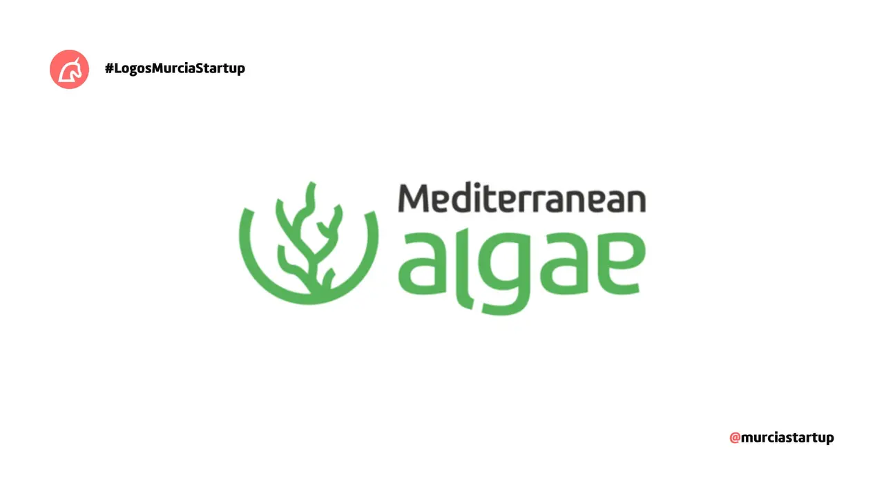 Mediterranean Algae