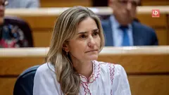 La vicepresidenta tercera y ministra para la Transici&oacute;n Ecol&oacute;gica y Reto Demogr&aacute;fico, Sara Aagesen, durante una sesi&oacute;n plenaria en el Senado, a 26 de mayo de 2026, en Madrid (Espa&ntilde;a).