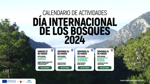 Cartel de las actividades organizadas por la Comunidad para conmemorar el D&iacute;a Internacional de los Bosques.