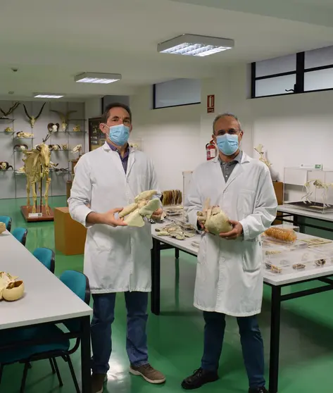 Los profesores Rafael Latorre y Octavio López, impulsores de Discover-IN