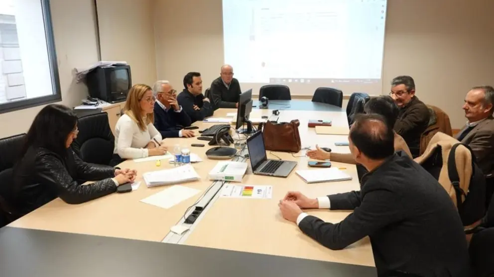 Reunión de la concejala Castejón con los representantes de Sabic e Iberdrola