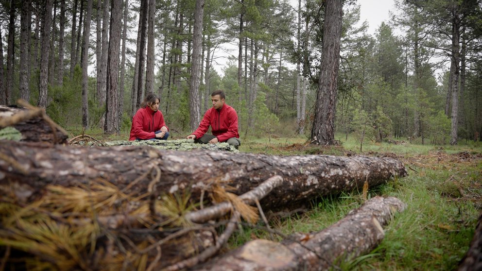 El proyecto europeo Life Token CO₂ pretende valorizar la gestión forestal para frenar el cambio climático