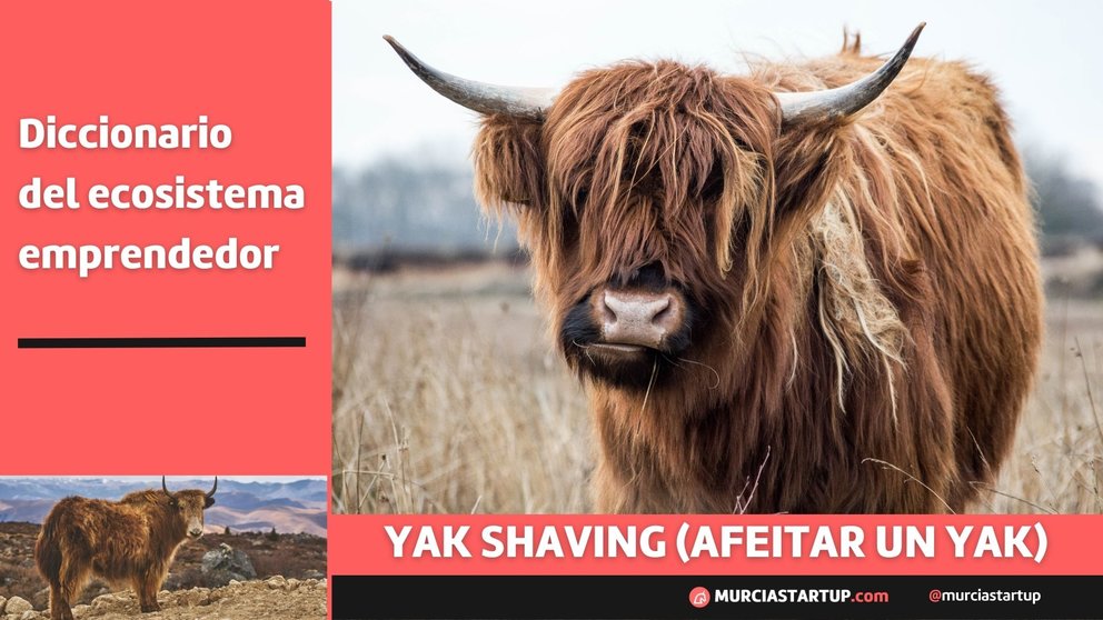 Yak shaving: afeitar un yak
