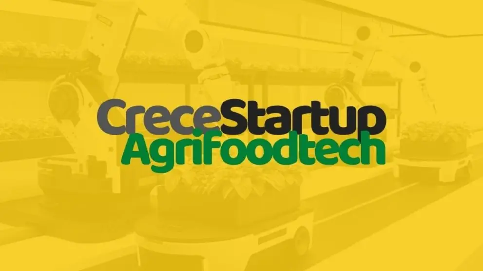 Programa CreceStartup