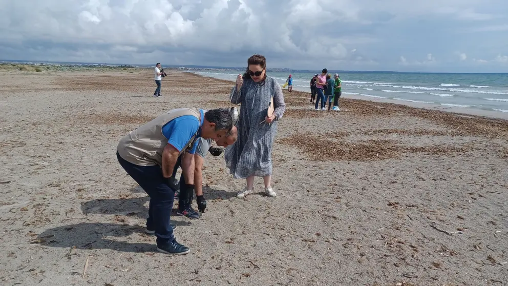 El consejero en funciones de Medio Ambiente, Mar Menor, Universidades e Investigación, Juan María Vázquez, recoge residuos en Las Salinas de San Pedro del Pinatar junto a la directora general de Medio Natural, María Cruz Ferreira, y otros LIBERAdores.