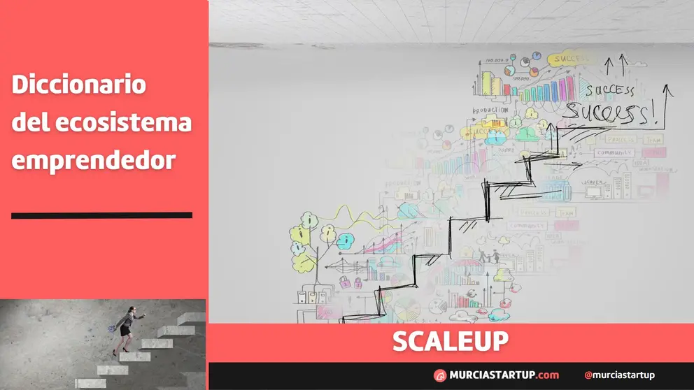 ¿Qué es una scaleup?