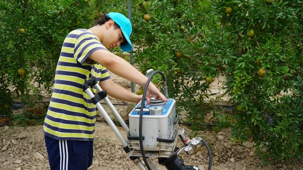 Experimentos en la Finca La Majada