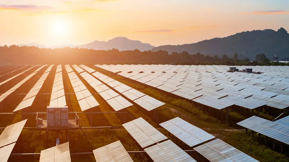 Paneles solares