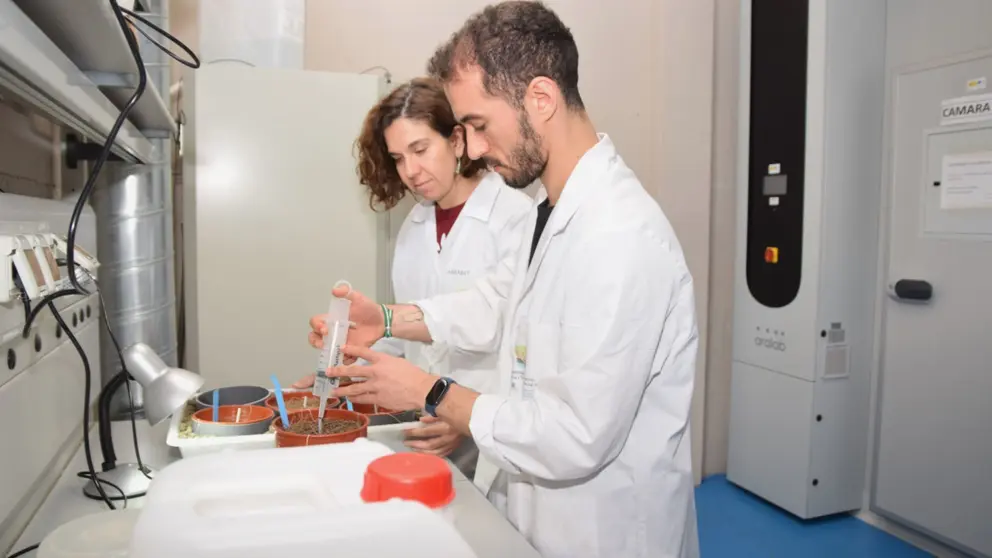 La UPCT logra siete nuevos contratos postdoctorales en el área de Biotecnología Vegetal para que sus investigadores continúen sus proyectos de I+D