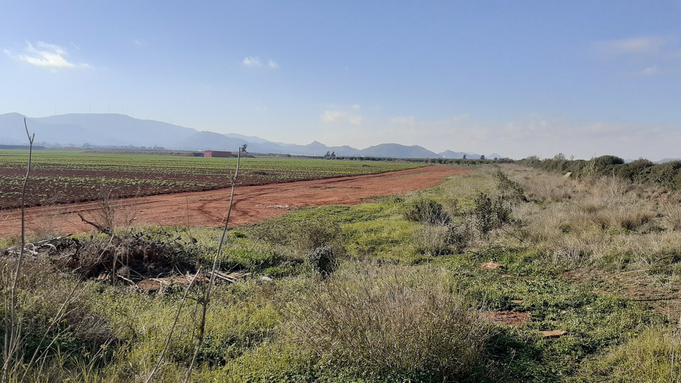 Vía pecuaria de la zona de Torre Pacheco.