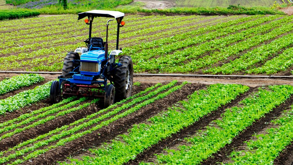 El Plan Estratégico de la Política Agraria Común no reconoce las condiciones agroclimáticas de la Región de Murcia