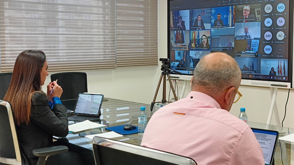 La consejera Sara Rubira en el Consejo Consultivo que se ha celebrado por videoconferencia.