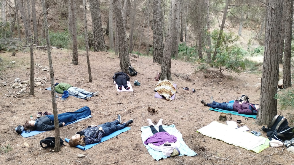 Meditación en pleno bosque.