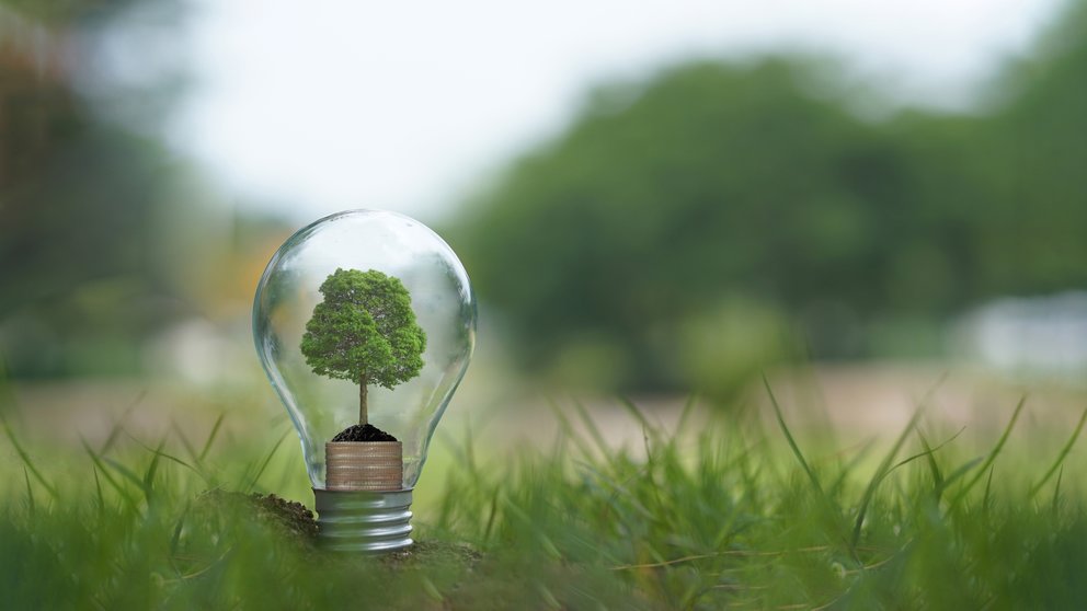 Energía, digitalización y ecologismo: las claves de un futuro empresarial sostenible