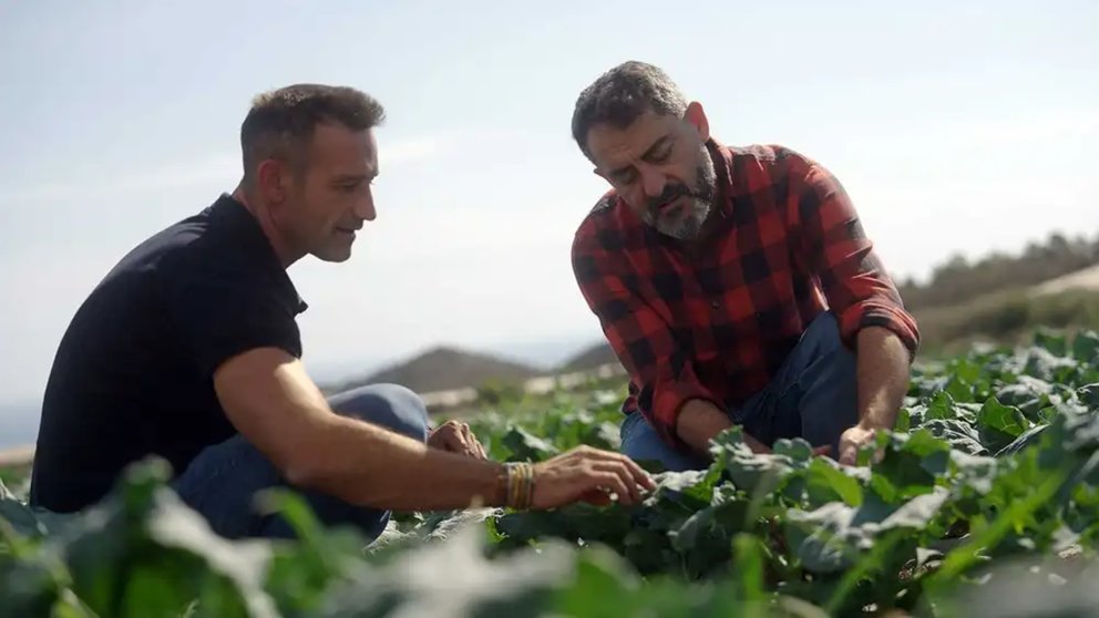 La empresa de Molina de Segura, Ecamed, asociada a Agritech Murcia es la principal consultora agrícola española especializada en el ciclo integral de producción ecológica