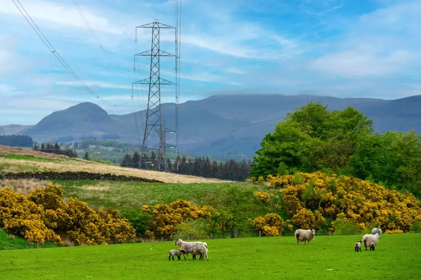 Iberdrola aumenta un 7,5% la electricidad distribuida en 2025