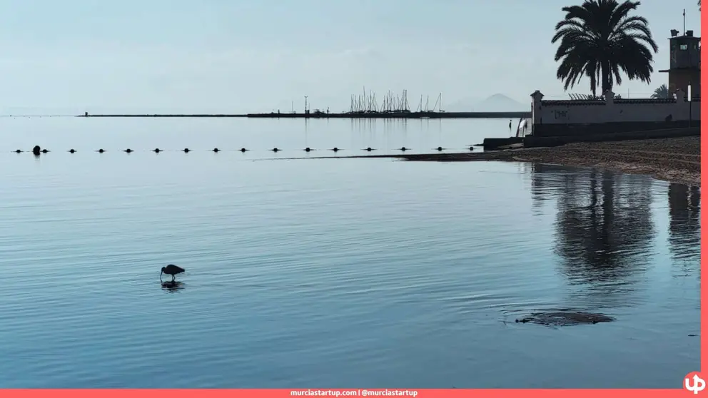 Mar Menor en la zona de Los Urrutias