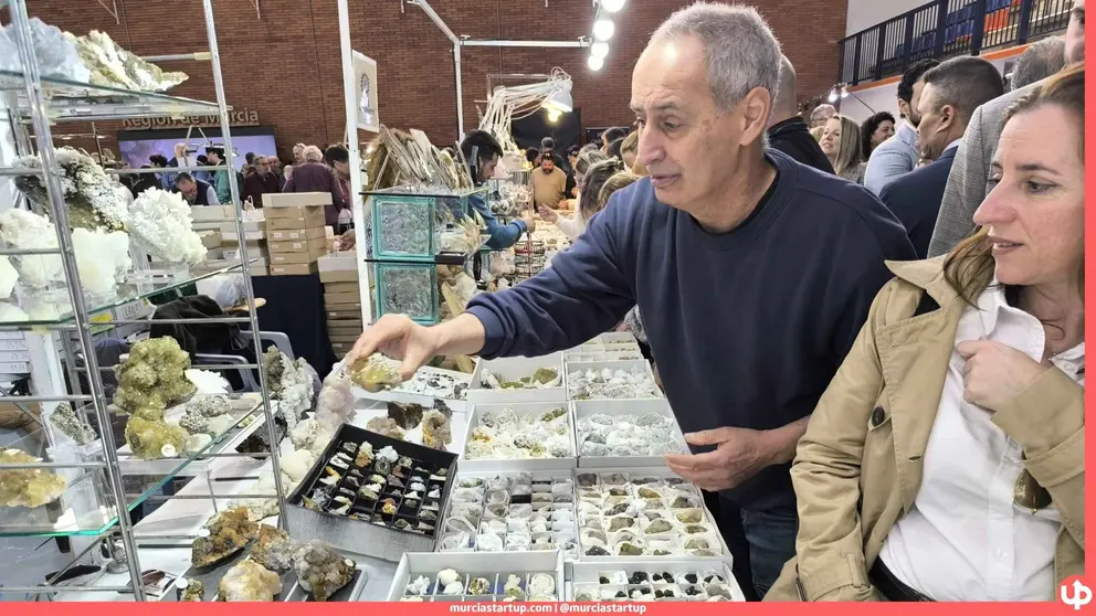 La Feria de Minerales de La Uni&oacute;n arranca como la tercera m&aacute;s importante de Europa con el f&oacute;sil de lince m&aacute;s antiguo del mundo