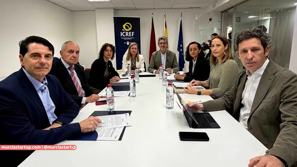 Un momento de la reuni&oacute;n del consejo de administraci&oacute;n del ICREF