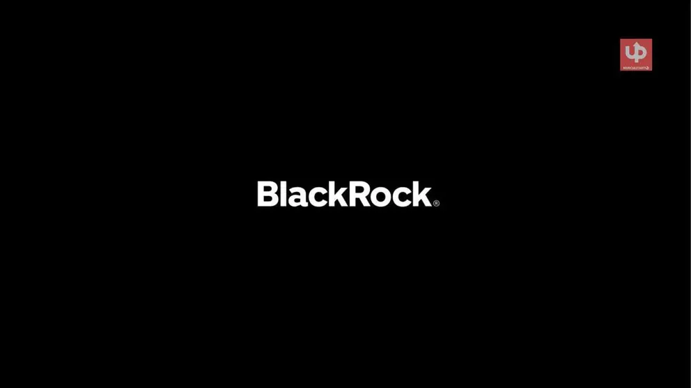 BlackRock elige a Espa&ntilde;a como su mercado burs&aacute;til preferido