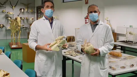 Los profesores Rafael Latorre y Octavio L&oacute;pez, impulsores de Discover-IN