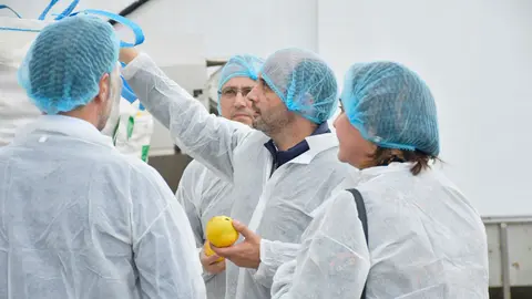 El director del INFO, Joaqu&iacute;n G&oacute;mez, visit&oacute; la empresa Emily Foods, en Las Torres de Cotillas, que se encarga de la producci&oacute;n de dulce de membrillo (Foto: CARM)