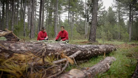 El proyecto europeo Life Token CO₂ pretende valorizar la gesti&oacute;n forestal para frenar el cambio clim&aacute;tico