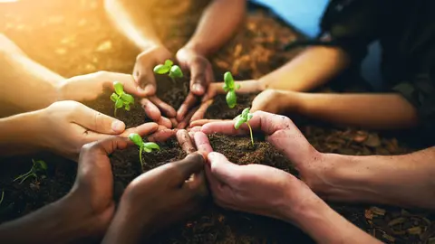 INFO y Pacto Mundial de la ONU ofrecen formaci&oacute;n gratuita a las pymes murcianas sobre sostenibilidad