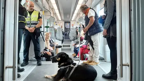 Perro gu&iacute;a en el Trambah&iacute;a