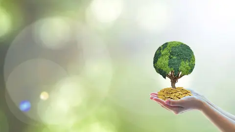 Solo un 14% de las empresas del IBEX 35 ha incorporado modelos de medici&oacute;n de impacto en su negocio
