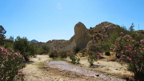 Im&aacute;genes de la Zona de Especial Conservaci&oacute;n (ZEC) 'R&iacute;o Ch&iacute;camo'.