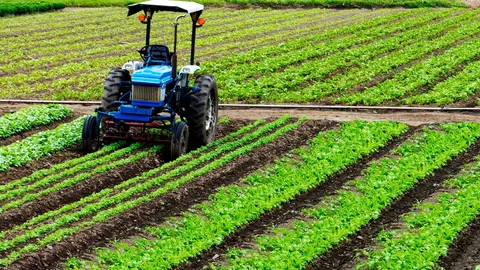 El Santander apoya al sector agroalimentario murciano con
150 millones &euro; en 2023, un 13% m&aacute;s