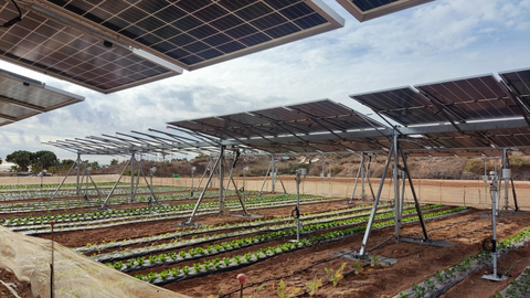 Sistemas agrovolt&aacute;icos