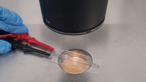 Imagen de la investigaci&oacute;n