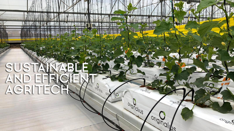 Originalius, que exporta sustratos agr&iacute;colas murcianos a 15 pa&iacute;ses, se incorpora al ecosistema de AgritechMurcia
