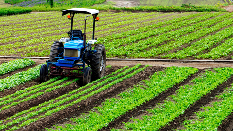 El Plan Estrat&eacute;gico de la Pol&iacute;tica Agraria Com&uacute;n no reconoce las condiciones agroclim&aacute;ticas de la Regi&oacute;n de Murcia