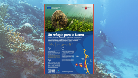 Cartel de la campa&ntilde;a de protecci&oacute;n de la nacra.