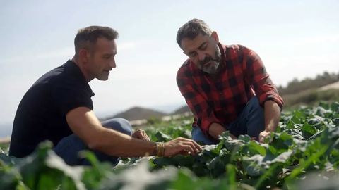 La empresa de Molina de Segura, Ecamed, asociada a Agritech Murcia es la principal consultora agr&iacute;cola espa&ntilde;ola especializada en el ciclo integral de producci&oacute;n ecol&oacute;gica