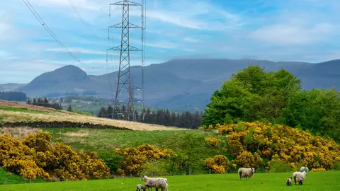 Iberdrola aumenta un 7,5% la electricidad distribuida en 2025