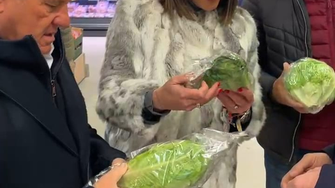 El mercado alem&aacute;n representa m&aacute;s de un 30 % de las exportaciones agr&iacute;colas de la Regi&oacute;n de Murcia en 2025.