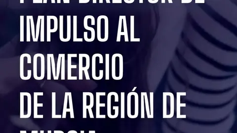 Programa de Consultor&iacute;a para la Mejora y Crecimiento del Comercio Local enmarcado en el Plan Director 2026-2030.