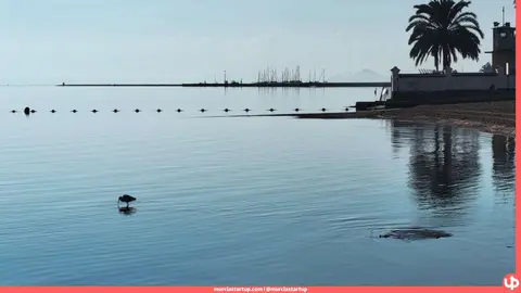 Mar Menor en la zona de Los Urrutias
