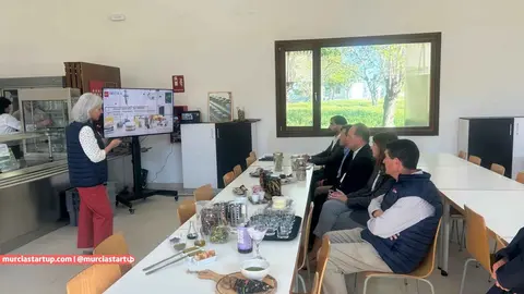 Imagen del equipo directivo del Imida durante su visita a Madrid para intercambiar conocimientos con el Imidra.