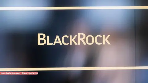 Logo de BlackRock