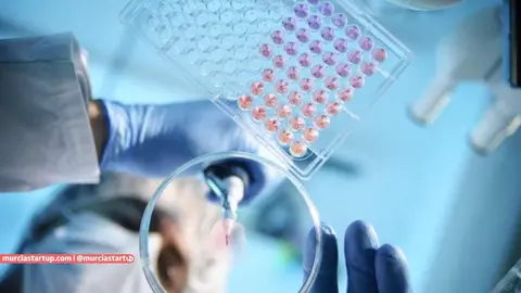 Trabajo en laboratorio
