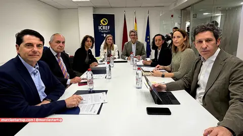 Un momento de la reuni&oacute;n del consejo de administraci&oacute;n del ICREF